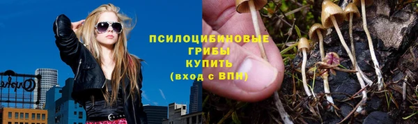 амфетамин Белокуриха