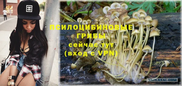 сатива Белоозёрский