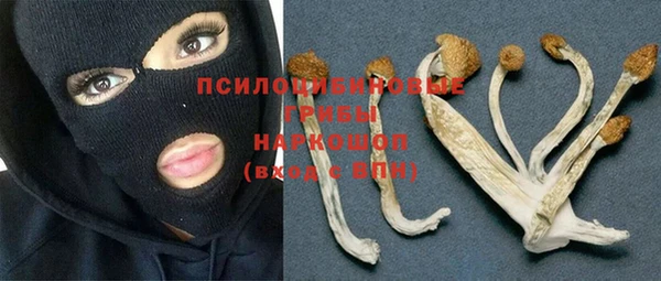 соль курить ск Беломорск