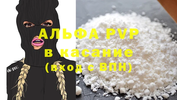 сатива Белоозёрский