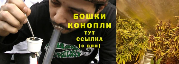 сатива Белоозёрский