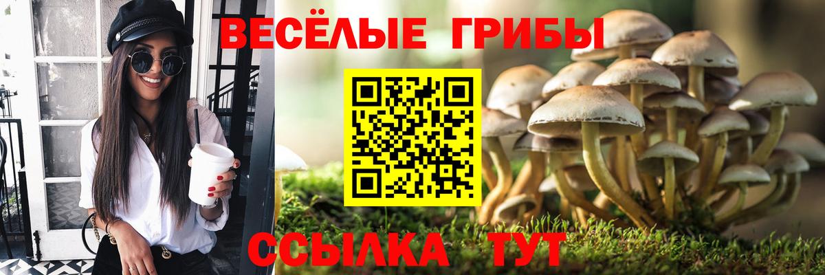 Псилоцибиновые грибы мухоморы Кушва